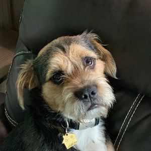 Meet your Posher, Beth ann